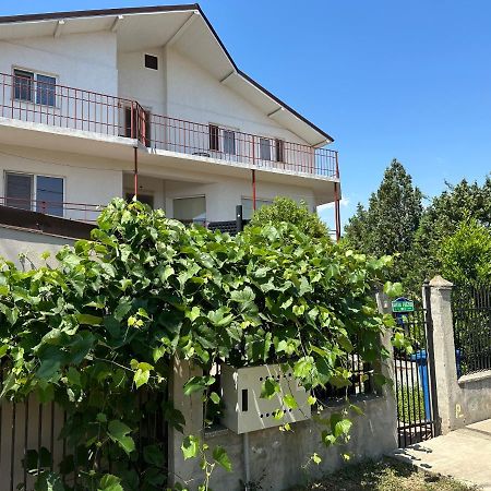 Vila Vio 2 Camere Independente エフォリエ・ノルド エクステリア 写真